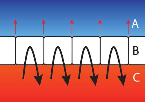 Criterion Down Sleeping Bags boxwall baffles diagram